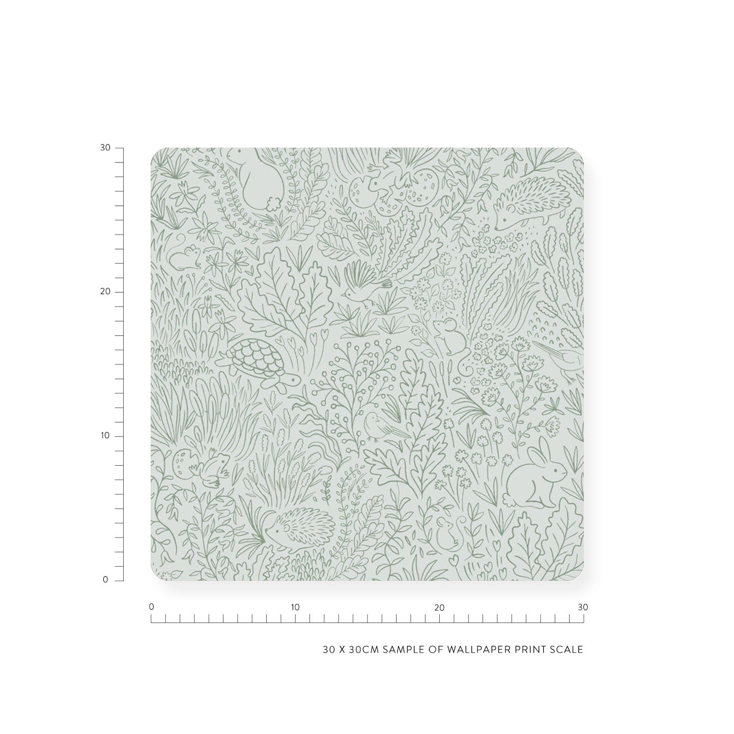 Garden Doodles Sage Wallpaper Sample